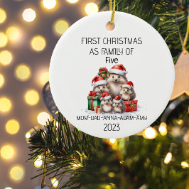 Fem Hedgehogs första julfamilj Julgransprydnad Keramik