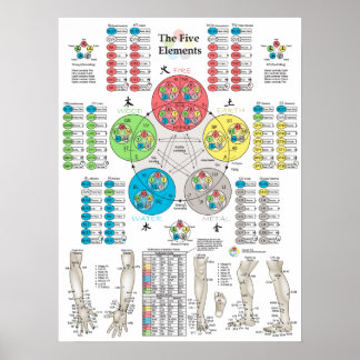 Fem Inslag Poster akupunktur