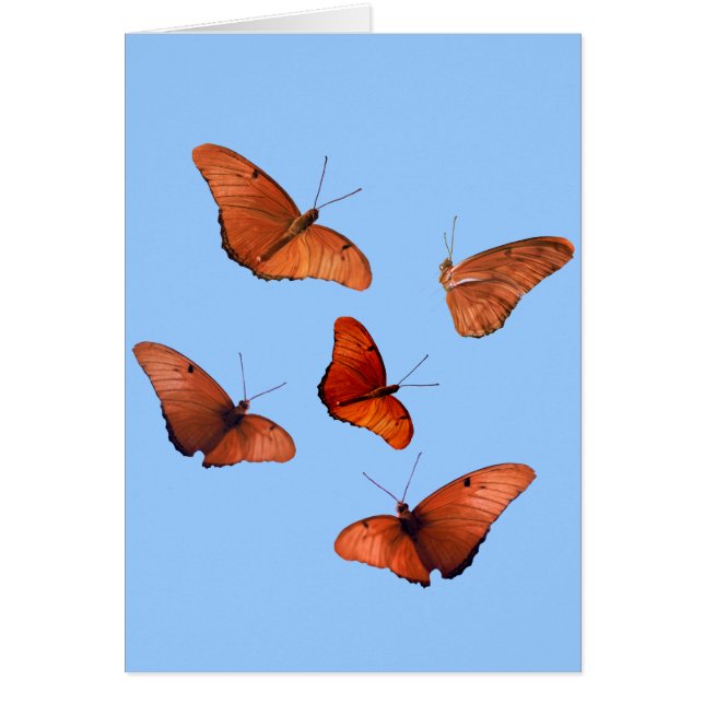 Fem Julia fjärilar Hälsningskort (Framsidan)