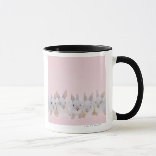 Fem kaniner 2 mugg (Höger)