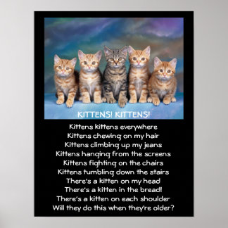 Fem lämpliga Tabby Kittens Poster