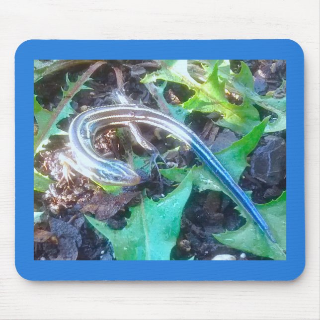 Fem linda skink på Vågrät Dandelion Lövs Musmatta (Framsidan)