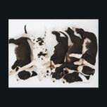 Fem marionetter från Harlequin Great dane som sove Vykort<br><div class="desc">Fem marionetter från Harlequin Great dane som sover i rad,  omvänt läge | Martin Harvey | Tillgångs-ID: sb10065668b-001</div>