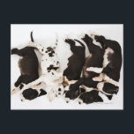 Fem marionetter från Harlequin Great dane som sove Vykort<br><div class="desc">Fem marionetter från Harlequin Great dane som sover i rad,  omvänt läge | Martin Harvey | Tillgångs-ID: sb10065668b-001</div>