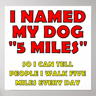 Fem miljoner Hund funny Poster