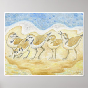 Fem Plovers på strandkonsttrycket Poster