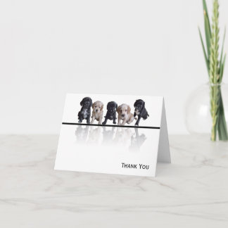 Fem svarta och Tan Cocker Spaniel Puppies Tack Kort