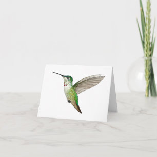 Female Anna's Hummingbird Kort