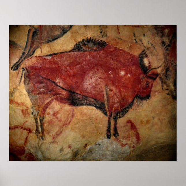 Female bison i Altamira Poster (Framsidan)