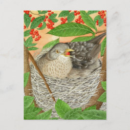 Female Blackbird Vykort