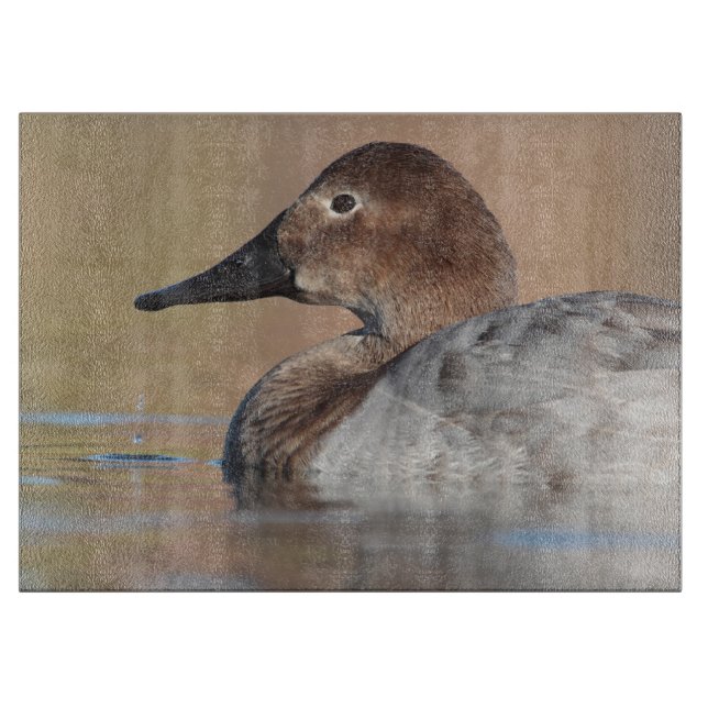 Female Canvasback anka-profil (Framsidan)