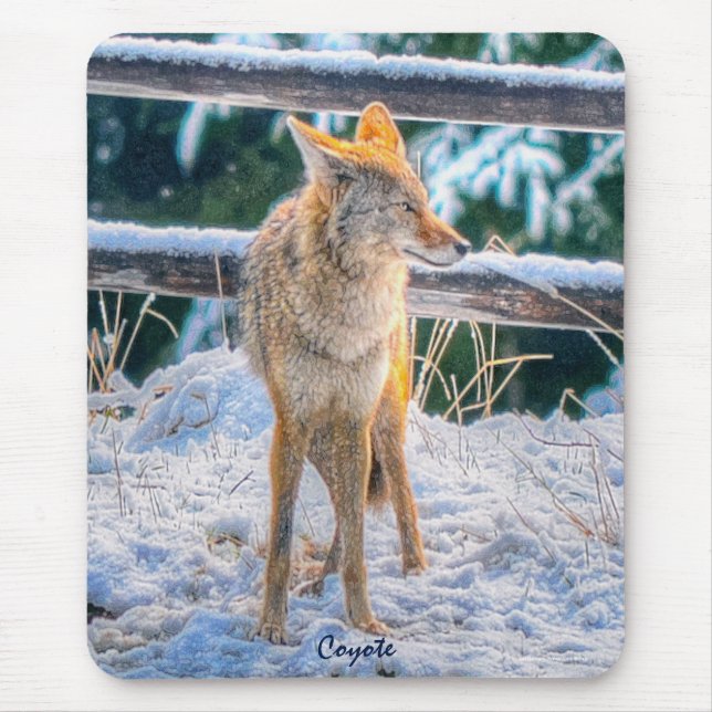 Female Coyote Hunting i Snö #Gift Mousepad Musmatta (Framsidan)