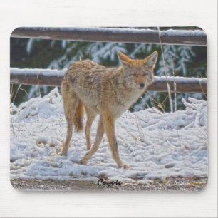 Female Coyote Hunting i Snö #Gift Mousepad Musmatta