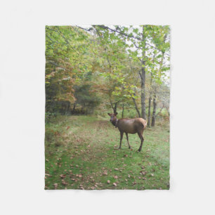 Female Elk i hösten fält Fleecefilt