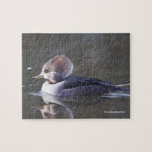 Female Hooded Merganser Anka vid dammen Pussel