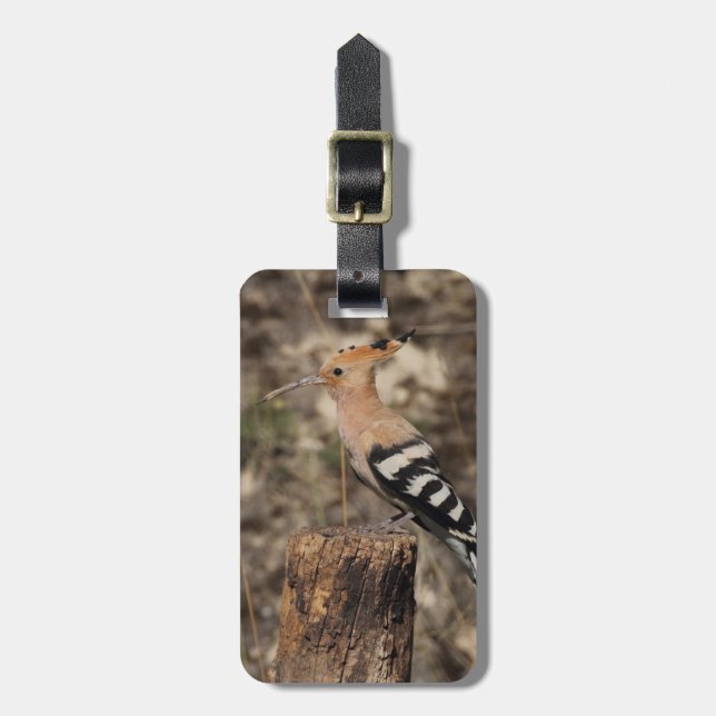 Female Hoopoe på trunk Bagagebricka (Vertikal Framsida)