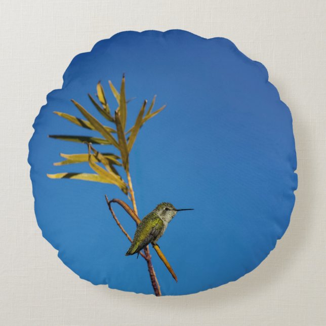 Female Hummingbird  Rund Kudde (Framsidan)