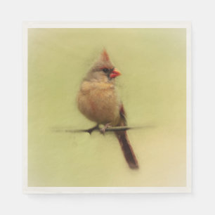 Female kardinal Songbird Pappersservett