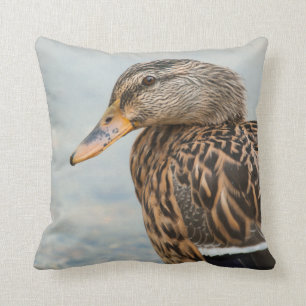 Female Mallard Anka Porträtt Kudde