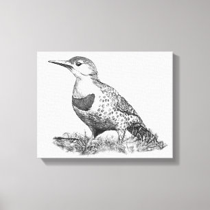 Female Northern Flicker Canvastryck