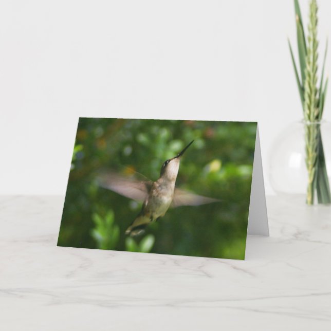 Female Ruby Throat Hummingbird Card Kort (Framsida)