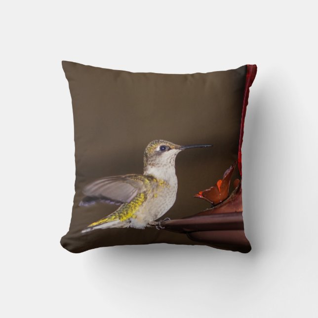 Female Ruby-throated Hummingbird Kudde (Framsida)