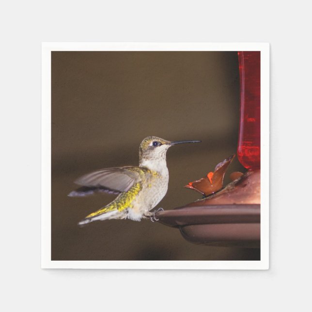 Female Ruby-throated Hummingbird Pappersservett (Framsidan)