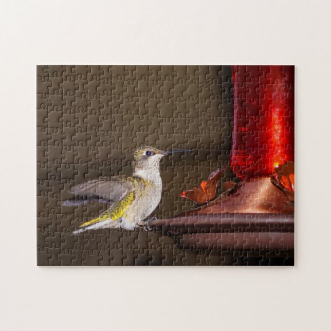 Female Ruby-throated Hummingbird Pussel (Horisontell)