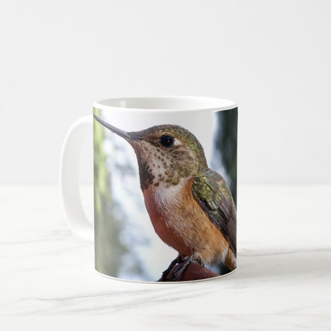 Female Rufous Hummingbird - Mugg (Framsida vänster)