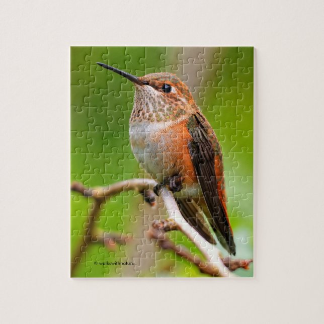 Female Rufous Hummingbird på Plum Träd Pussel (Vertikal)