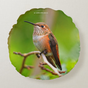 Female Rufous Hummingbird på Plum Träd Rund Kudde