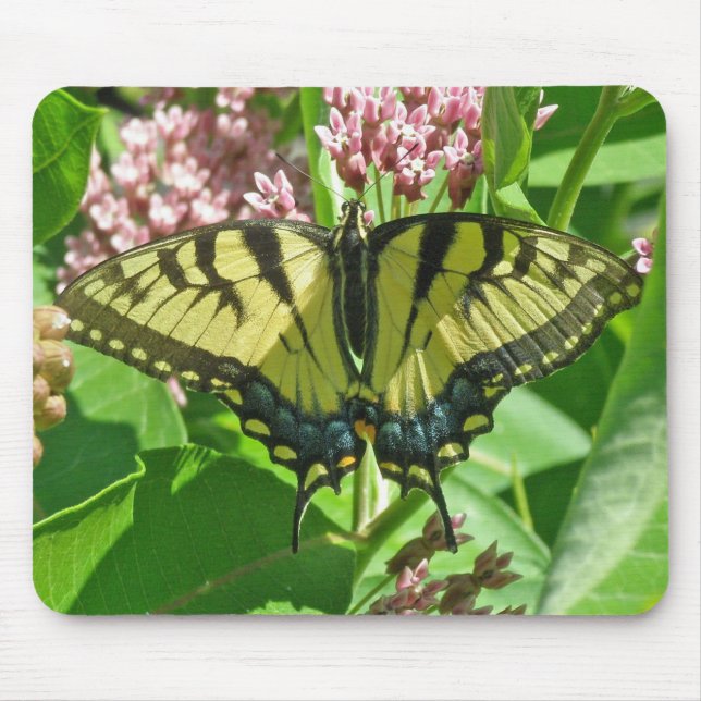 Female Tiger Swallowtail Mousepad Musmatta (Framsidan)