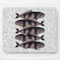 Femfaldig fisk