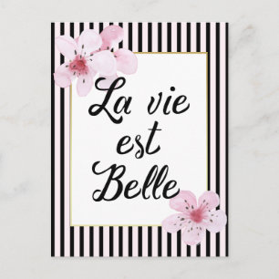 Feminin Fransk Rosa och svart Rand och blommor Vykort