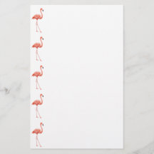 Feminin Rosa Flamingo Mönster