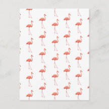 Feminin Rosa Flamingo Mönster
