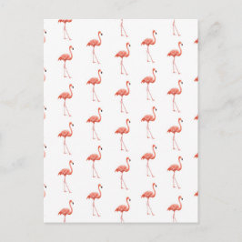 Feminin Rosa Flamingo Mönster Vykort