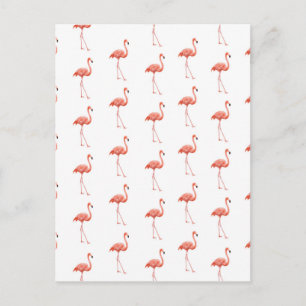 Feminin Rosa Flamingo Mönster Vykort