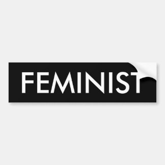 Feministisk bildtext på krockkudde bildekal
