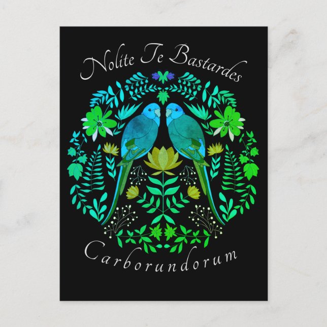 Feministisk konst Nolite Te Bastardes Carborundoru Vykort (Framsida)