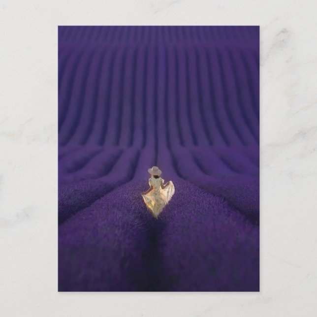 Femme dans un champ de lavande vykort (Framsida)