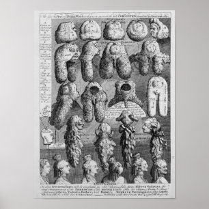 Femna beställer av Perriwigs, 1761 Poster