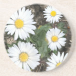 Femtonårsjubileum, trä och Daisy Underlägg<br><div class="desc">Denna ovanliga underlägg visar att blommor från Daisy växer upp bland en del träd-bark,  skapar perfekten för en par-femårsdag som traditionellt är trä och den alternativa Daisyn för blommor. En underbar keepsaksgåva,  särskilt när den kombineras med ett matchande kort.</div>
