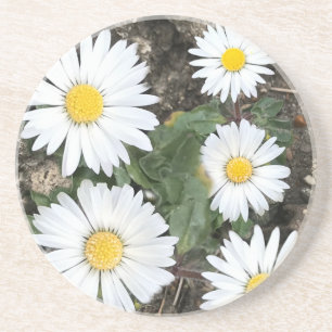 Femtonårsjubileum, trä och Daisy Underlägg