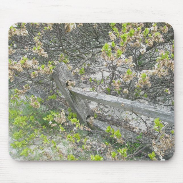 Fence Against Dunes IBSP Mousepad Musmatta (Framsidan)