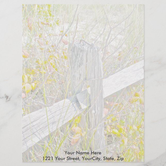 Fence & Poison Ivy IBSP Letterhead Brevhuvud (Framsida)