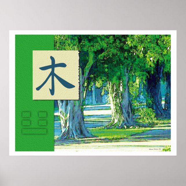 Feng Shui: Bagua Bilder: Wood Ligcape Poster (Framsidan)