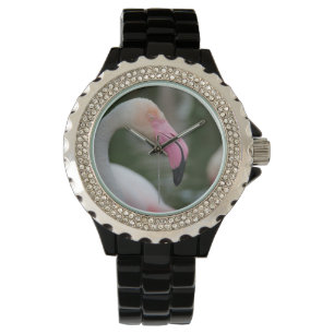 Fenicopterus roseus armbandsur