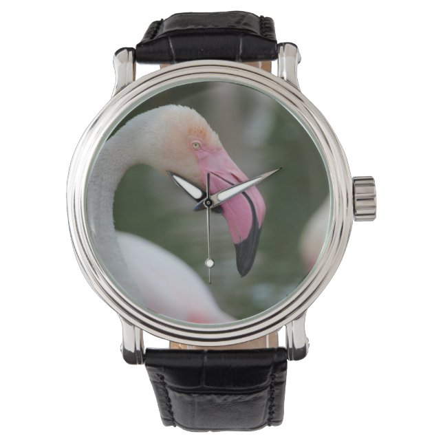 Fenicopterus roseus armbandsur (Framsida)