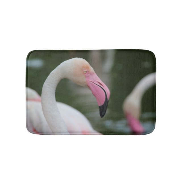 Fenicopterus roseus badrumsmatta (Framsidan)